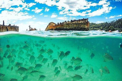 Adventure Moreton Island Day Pass - Tourism Noosa 4