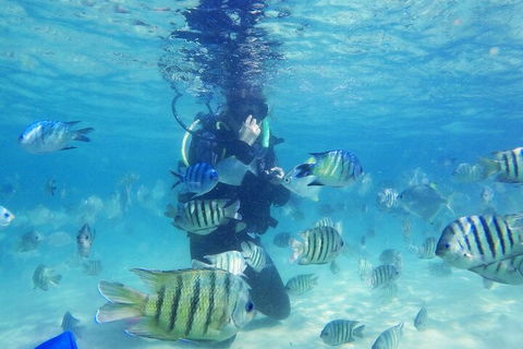 Adventure Moreton Island Scuba Dive Tour - Tourism Noosa 1