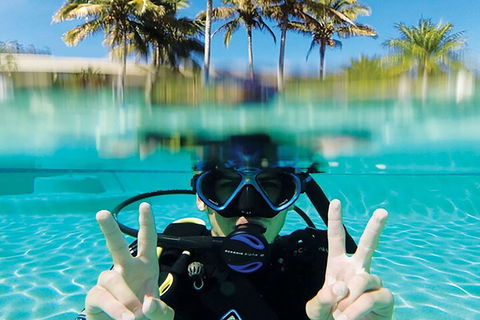 Adventure Moreton Island Scuba Dive Tour - Tourism Noosa 2