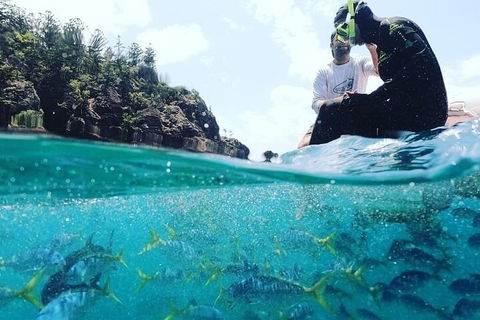 2 Night Small Group Whitsundays Sailing Adventure Aboard Mandrake - Tourism Noosa 5