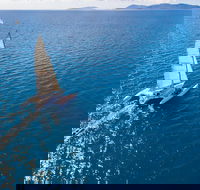 2-Night Whitsunday Islands Sailing Adventure on Trimaran Avatar - Tourism Noosa