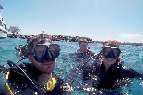 Wave Break Island Scuba Diving On The Gold Coast - Tourism Noosa 0