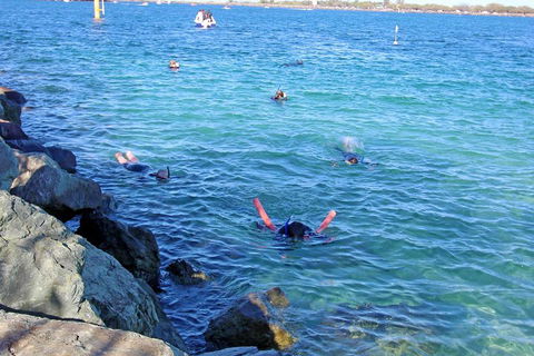Wave Break Island Scuba Diving On The Gold Coast - Tourism Noosa 1