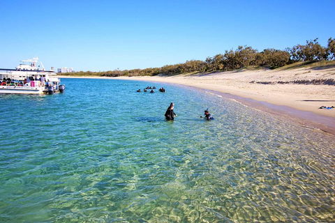 Wave Break Island Scuba Diving On The Gold Coast - Tourism Noosa 4