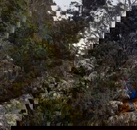 kunanyi / Mt. Wellington Guided Hiking Tour - Tourism Noosa