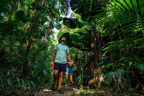 Full Day Daintree Rainforest And Mossman Gorge Tour - Tourism Noosa 0