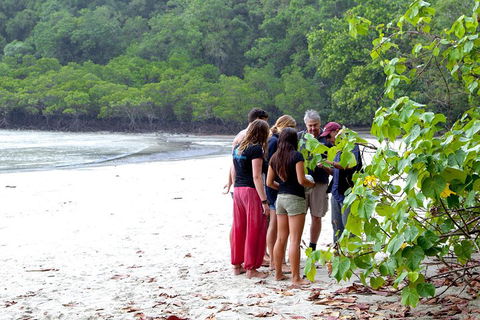 Full Day Daintree Rainforest And Mossman Gorge Tour - Tourism Noosa 2