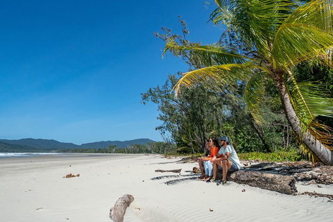 Full Day Daintree Rainforest And Mossman Gorge Tour - Tourism Noosa 4