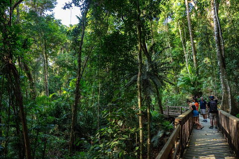 Full Day Daintree Rainforest And Mossman Gorge Tour - Tourism Noosa 5