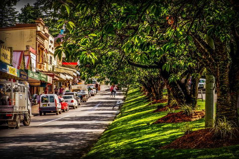 Fully Inclusive Blue Mountains Private Tour Inc Scenic World & Featherdale Entry - Tourism Noosa 0