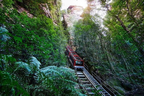 Fully Inclusive Blue Mountains Private Tour Inc Scenic World & Featherdale Entry - Tourism Noosa 4
