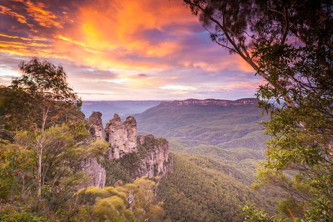 Fully Inclusive Blue Mountains Private Tour Inc Scenic World & Featherdale Entry - Tourism Noosa 5
