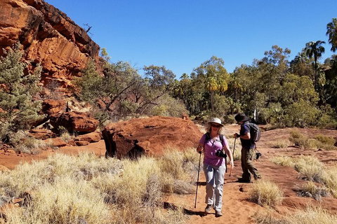 Palm Valley And Hermannsburg 1 Day 4WD Tour - Tourism Noosa 1