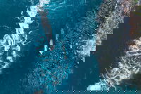 Cygnet Bay Explorer, Broome