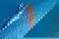 Buccaneer Explorer, Broome