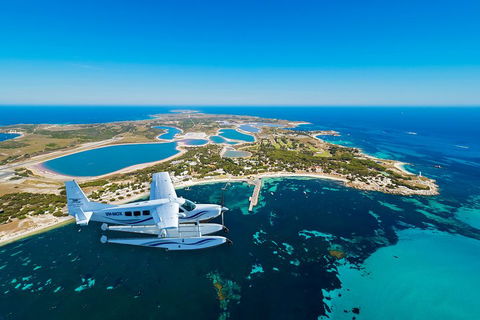 Full Day Tour By Seaplane To Rottnest Island Small Group Trip - Tourism Noosa 1