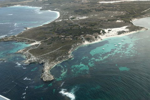 Full Day Tour By Seaplane To Rottnest Island Small Group Trip - Tourism Noosa 5