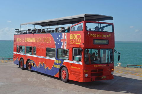 Darwin Hop-on Hop-off Bus Tour - Tourism Noosa 3