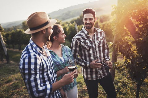 Full Day Mount Tamborine Winery Tour From Gold Coast - Tourism Noosa 5