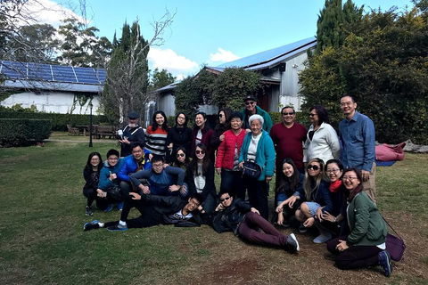 Full Day Mount Tamborine Winery Tour From Brisbane - Tourism Noosa 2