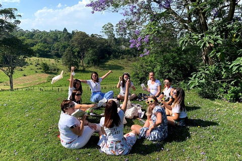 Full Day Mount Tamborine Winery Tour From Brisbane - Tourism Noosa 4