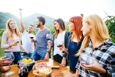 Full Day Mount Tamborine Winery Tour From Brisbane - Tourism Noosa 5