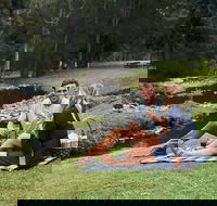 Mt Tamborine - Hinterland Wonders Self Guided - Tourism Noosa