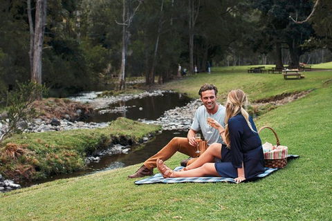 Mt Tamborine - Hinterland Wonders Self Guided - Tourism Noosa 0