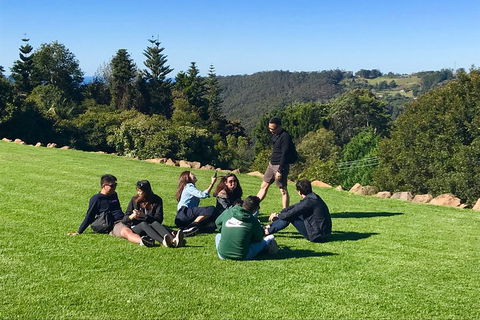 Mt Tamborine - Hinterland Wonders Self Guided - Tourism Noosa 1