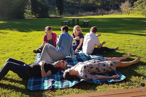 Mt Tamborine - Hinterland Wonders Self Guided - Tourism Noosa 2