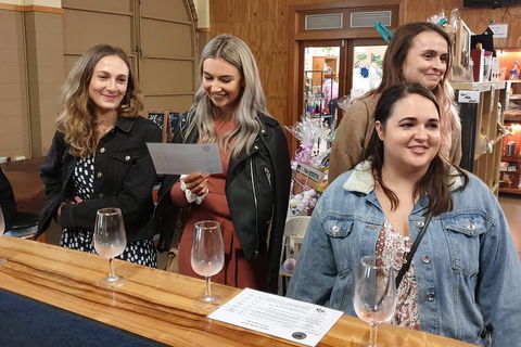 Mt Tamborine - Hinterland Wonders Self Guided - Tourism Noosa 3