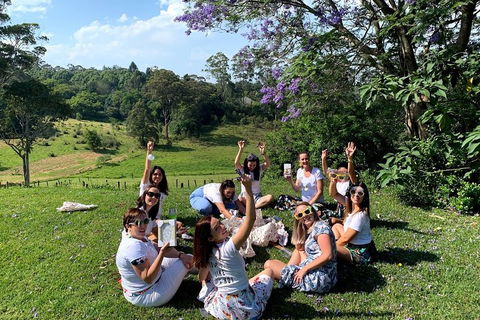 Mt Tamborine - Hinterland Wonders Self Guided - Tourism Noosa 5