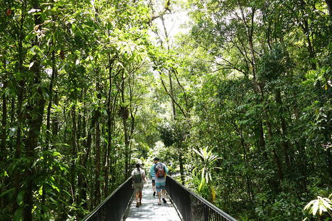 Daintree Dreaming Traditional Aboriginal Fishing From Cairns Or Port Douglas - Tourism Noosa 3