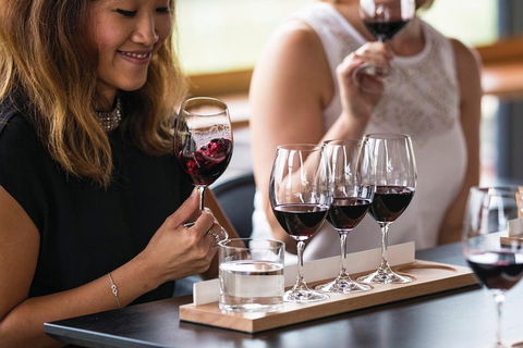 Adelaide Hills Regional / Hahndorf German Village Tour - Tourism Noosa 5