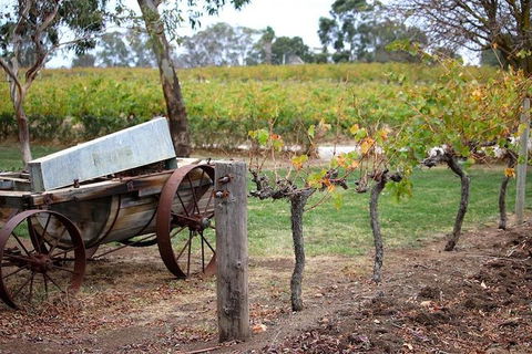 Maggie Beer Farm - Barossa Valley Regional Tour - Tourism Noosa 1