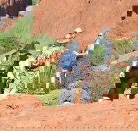 Afternoon Kata Tjuta Small Group Tour - Tourism Noosa
