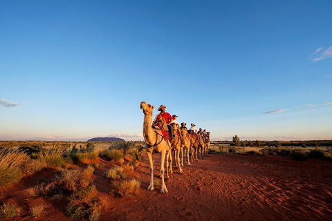 Uluru Small-Group Tour By Camel At Sunrise Or Sunset - Tourism Noosa 3
