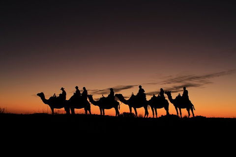 Uluru Small-Group Tour By Camel At Sunrise Or Sunset - Tourism Noosa 4