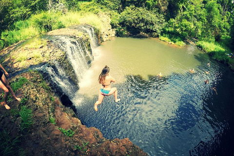 Byron Surrounds: Nimbin Waterfall Adventure - Swimming Tour - Tourism Noosa 3