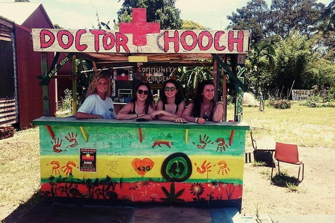 Byron Surrounds: Nimbin Waterfall Adventure - Swimming Tour - Tourism Noosa 5