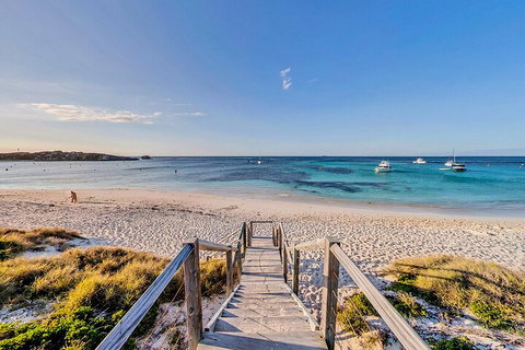 Discover Rottnest With Ferry & Bus Tour From Perth Or Fremantle - Tourism Noosa 4