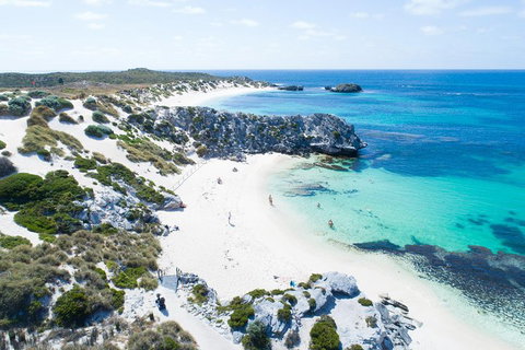 Discover Rottnest With Ferry & Bus Tour From Perth Or Fremantle - Tourism Noosa 5