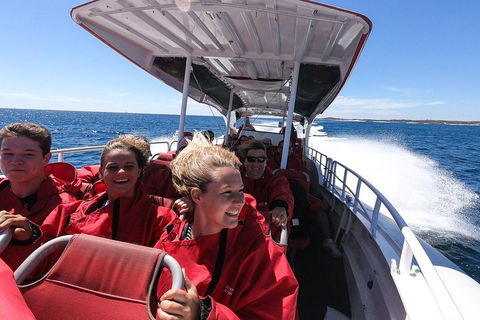 Adventure Rottnest Tour With Ferry & Adventure Cruise From Perth Or Fremantle - Tourism Noosa 0