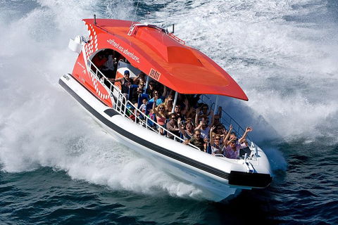 Adventure Rottnest Tour With Ferry & Adventure Cruise From Perth Or Fremantle - Tourism Noosa 2
