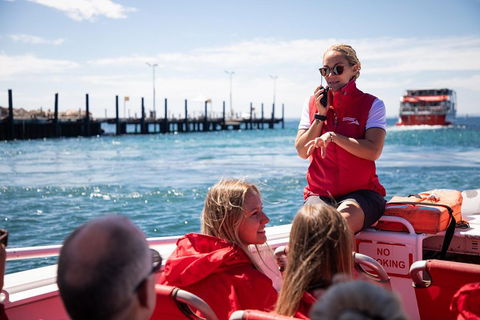 Adventure Rottnest Tour With Ferry & Adventure Cruise From Perth Or Fremantle - Tourism Noosa 4