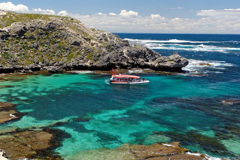 Adventure Rottnest Tour With Ferry & Adventure Cruise From Perth Or Fremantle - Tourism Noosa 5