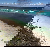 Experience Rottnest with Ferry  Bike Hire from Perth or Fremantle - Tourism Noosa