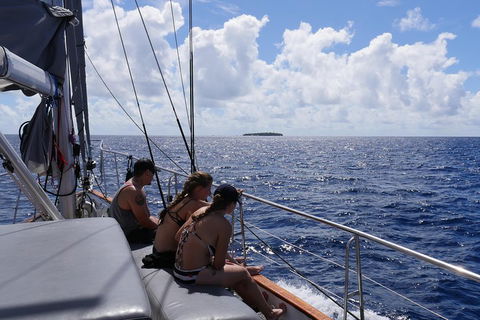 Ocean Free Green Island & Great Barrier Reef Snorkel Cruise, Cairns 25 Guests - Tourism Noosa 4