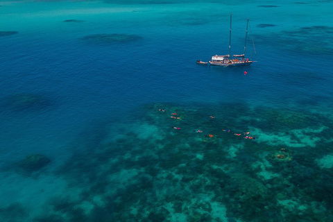 Ocean Free Green Island & Great Barrier Reef Snorkel Cruise, Cairns 25 Guests - Tourism Noosa 5
