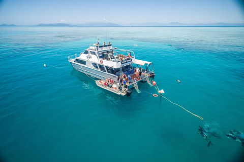 Ocean Freedom Great Barrier Reef Personal Luxury Snorkel & Dive Cruise, Cairns - Tourism Noosa 0